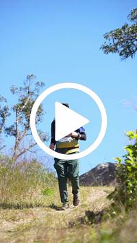 BIB:  <button type="button" onclick="openModal(26598247)" class="btn btn-primary btn-sm float-right" data-toggle="modal" data-target=".modal-high-quality">
                <i class="fa fa-download"></i> Download
                </button>